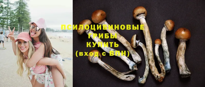 что такое   МЕГА зеркало  Псилоцибиновые грибы Psilocybine cubensis  Балахна 